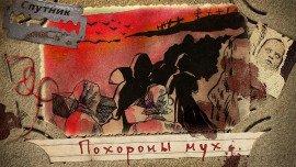Книга Похороны мух