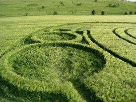 Книга Структура реальности