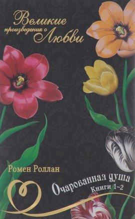Книга Очарованная душа 4