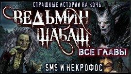 Книга Ведьмы уходят в небо
