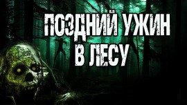 Книга Поздний ужин в лесу