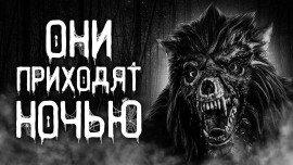 Книга Они приходят ночью