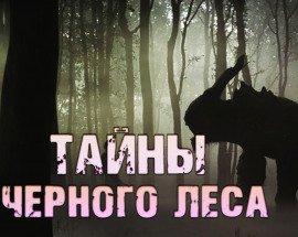 Книга Тайны чёрного леса