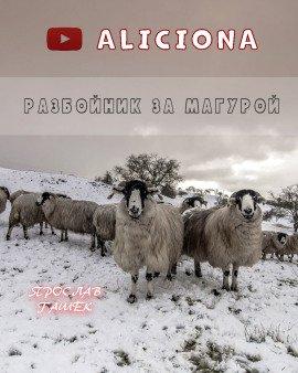 Книга Разбойник за Магурой