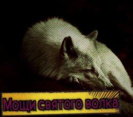 Книга Мощи святого волка