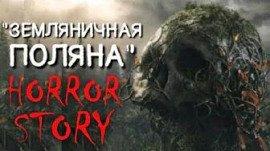 Книга Земляничная поляна