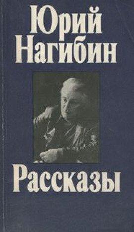 Книга Случайный пришелец