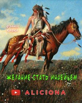 Книга Желание стать индейцем