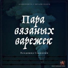 Книга Пара вязаных варежек
