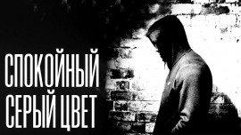 Книга Спокойный серый цвет