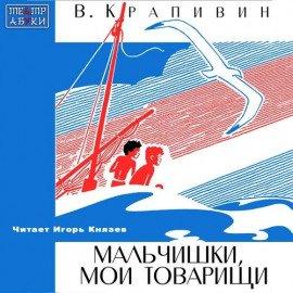 Книга Мальчишки, мои товарищи