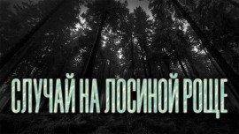 Книга Случай на Лосиной Роще
