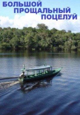 Книга Большой прощальный поцелуй