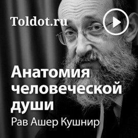 Книга Анатомия человеческой души