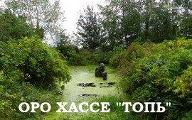 Книга Топь
