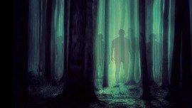Книга Марсель Дюпа в деревне Самопаловка