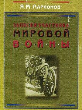 Книга Записки участника мировой войны