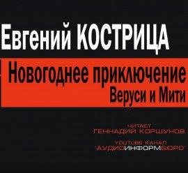 Книга Новогоднее приключение Веруси и Мити