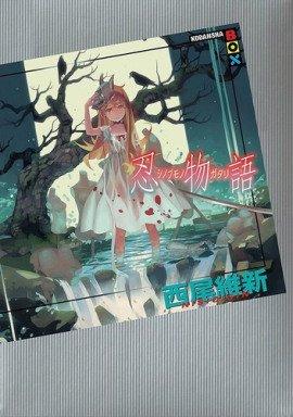Книга Shinobumonogatari / История скрытности