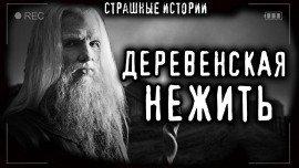 Книга Огнь