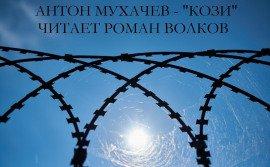 Книга Кози