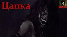 Книга Цапка
