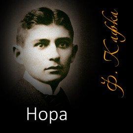 Книга Нора