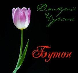 Книга Бутон