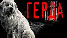 Книга Герда
