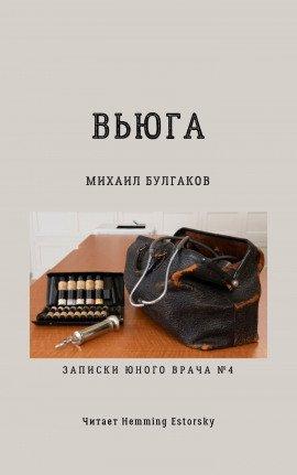 Книга Вьюга