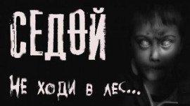 Книга Седой