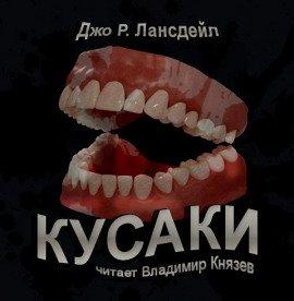 Книга Кусаки