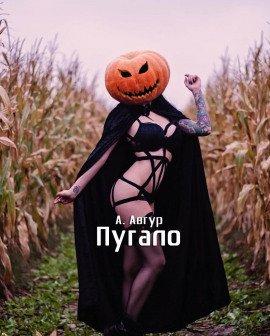 Книга Пугало