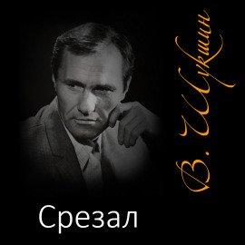 Книга Срезал