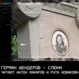 Книга Слюни