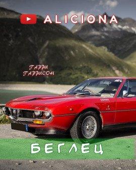 Книга Беглец