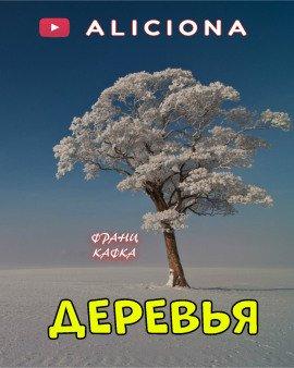 Книга Деревья