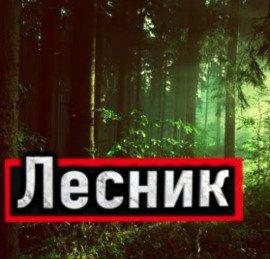 Книга Лесник
