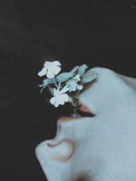 Книга Чрево