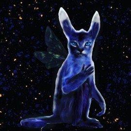 Книга Коленька