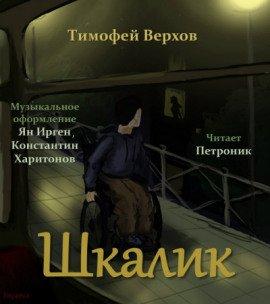 Книга Шкалик