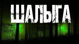 Книга Шалыга