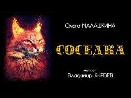 Книга Соседка