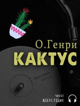 Книга Кактус