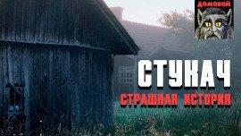 Книга Стукач
