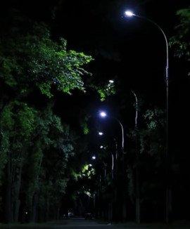 Книга Прятки