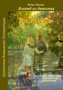 Книга Разлука
