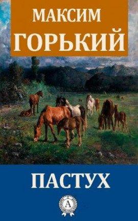 Книга Пастух