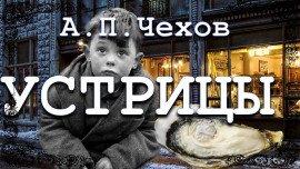 Книга Устрицы