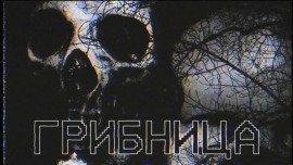 Книга Грибница